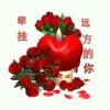 让梦飞翔的头像