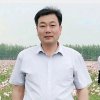 明月清风的头像
