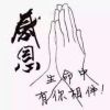 云淡风轻的头像
