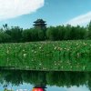 天涯海角caoxiping的头像