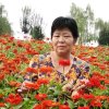 秦之声正声社秦之声的头像