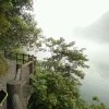 cheng的头像