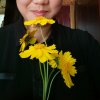 红叶的头像