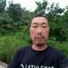 心太软的头像