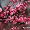 一生平安的头像