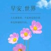 行云流水的头像