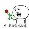薄荷少年的头像