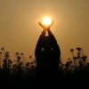 河源禅太极养生堂的头像