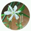 加贝爷的头像