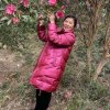 兰的头像