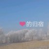 似水流年的头像