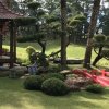 学唱歌《孔孔》的头像