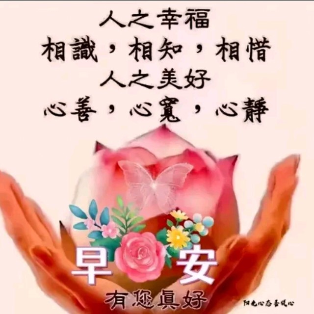 演唱歌手最美好时光的头像