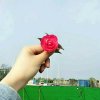 《听心》之音的头像