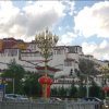 阳光的头像