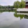 远方的头像