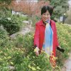 吉祥安康的头像