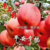 李小叶的头像