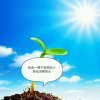 洺源豪门平安一生的头像
