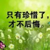 醉梦人生的头像