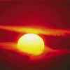 太阳的头像