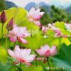 的头像