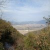 无言的头像