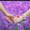 修5216的头像