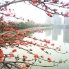 春来燕归的头像