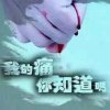 郑婵的头像