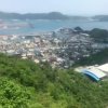 勇敢面对未来的头像