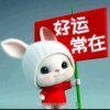 人生若只如初见的头像