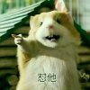 小盆友cbe°的头像