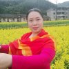 杨再仙的头像