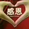 感恩的心的头像