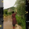 夏阳的头像
