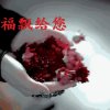 随缘的头像