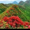 青山依旧在的头像