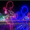 醉以乐声的头像