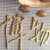 梅子的头像