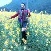 快乐仙子的头像