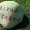 只为开心的头像