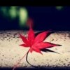 明宇的头像