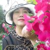 海妹的头像