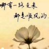 无所谓的头像
