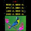 锦秀山川的头像