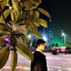 熊文杰的头像