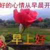 平等待人的头像