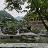 梅子[退]的头像