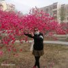 蓝天白云的头像